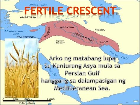Sinaunang mapa ng fertile crescent